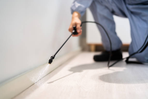Licensed Termite Control service in Lee County County, IL - Nex Pest Control