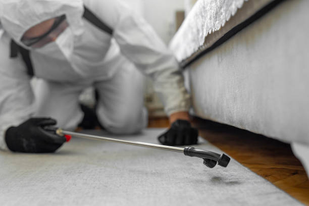 Professional Termite Control technician working in Lee County County, IL